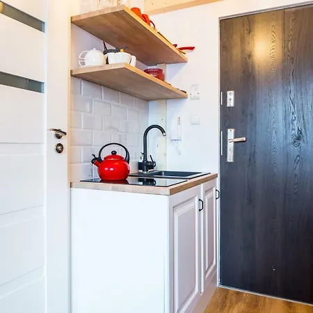 Palac Tatrzanski Daire *